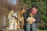 ADULTE ET CHIEN 557